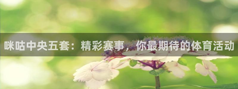 咪咕中央五套：精彩赛事，你最期待的体育活动