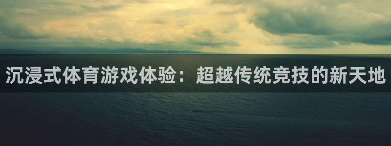 沉浸式体育游戏体验：超越传统竞技的新天地