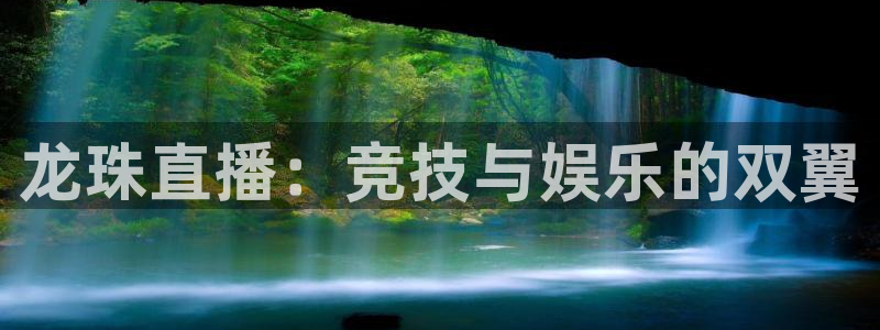 龙珠直播：竞技与娱乐的双翼