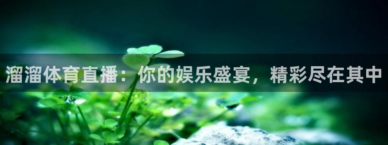 溜溜体育直播：你的娱乐盛宴，精彩尽在其中