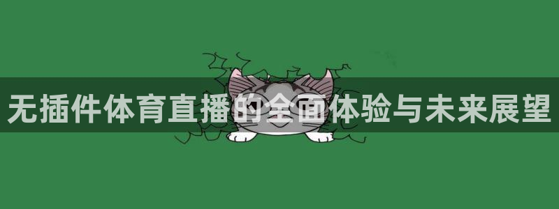无插件体育直播的全面体验与未来展望