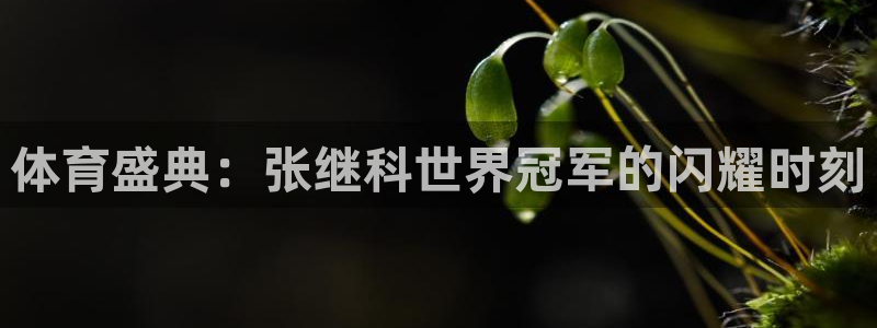 体育盛典：张继科世界冠军的闪耀时刻