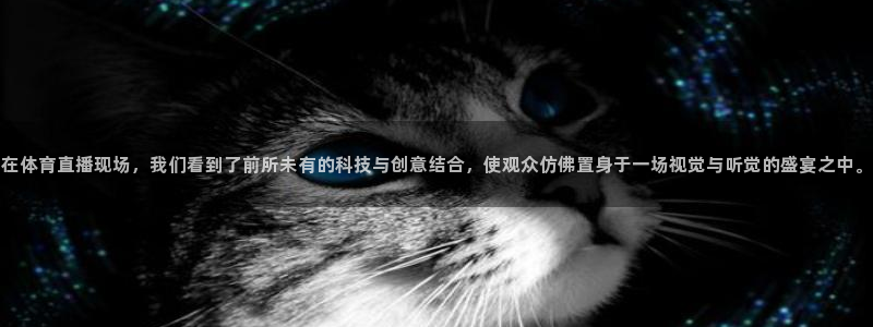 在体育直播现场，我们看到了前所未有的科技与创意结合，使观众仿佛置身于一场视觉与听觉的盛宴之中。