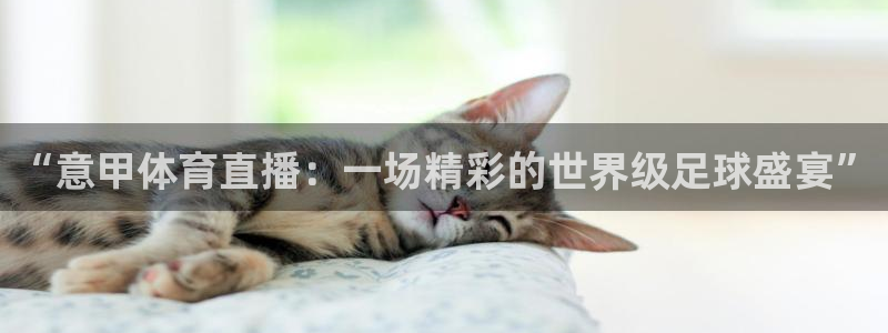 “意甲体育直播：一场精彩的世界级足球盛宴”