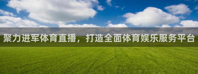 聚力进军体育直播，打造全面体育娱乐服务平台