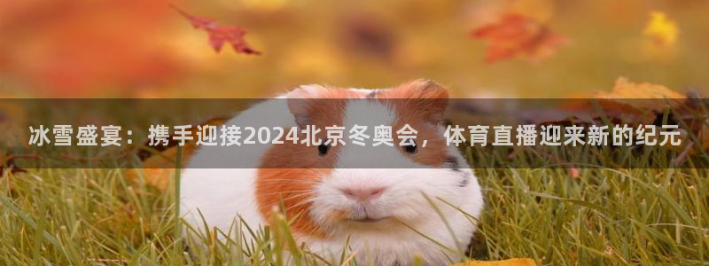 冰雪盛宴：携手迎接2024北京冬奥会，体育直播迎来新的纪元
