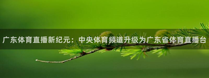 广东体育直播新纪元：中央体育频道升级为广东省体育直播台