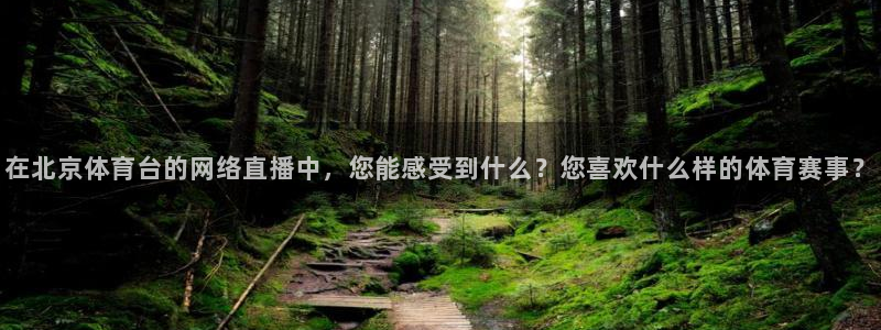 在北京体育台的网络直播中，您能感受到什么？您喜欢什么样的体育赛事？