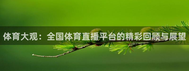 体育大观：全国体育直播平台的精彩回顾与展望