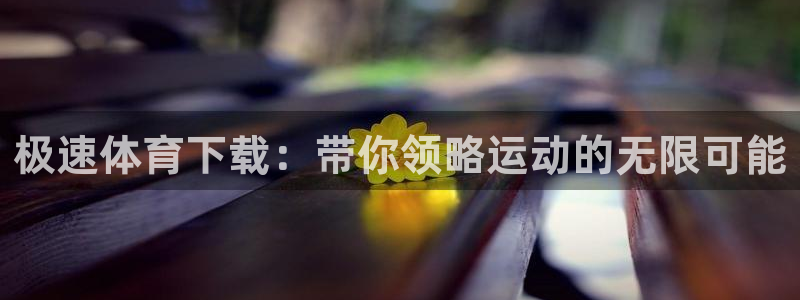极速体育下载：带你领略运动的无限可能