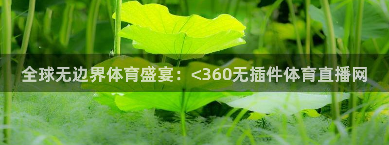 全球无边界体育盛宴：<360无插件体育直播网