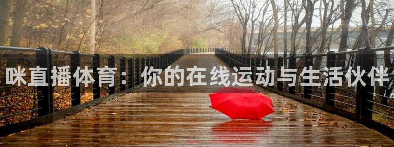 咪直播体育：你的在线运动与生活伙伴